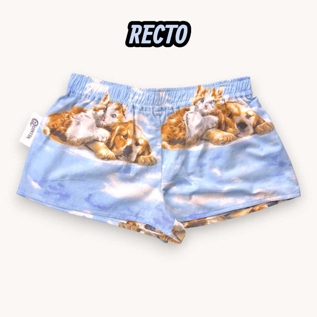 Mini-short Puppies & Kittens – Collection Pop Culture – Quintín