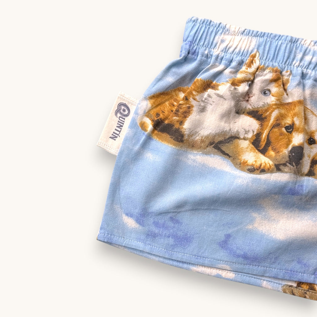 Mini-short Puppies & Kittens – Collection Pop Culture – Quintín