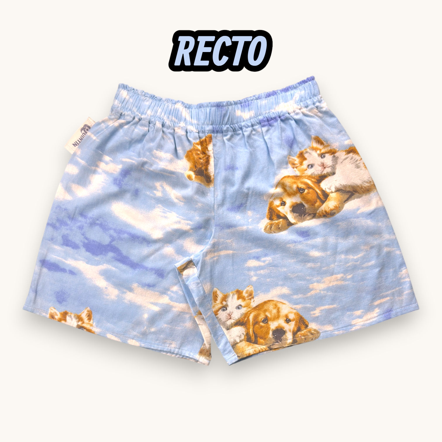 Short Long Puppies & Kittens – Collection Pop Culture – Quintín