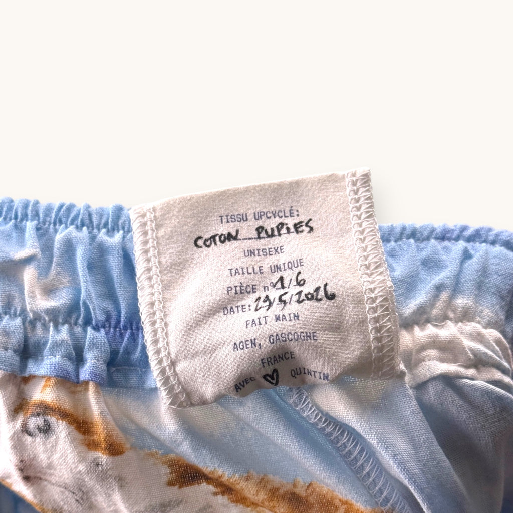 Short Long Puppies & Kittens – Collection Pop Culture – Quintín